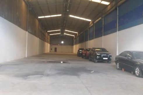 Commercial for rent in Thanh My Loi, Ho Chi Minh