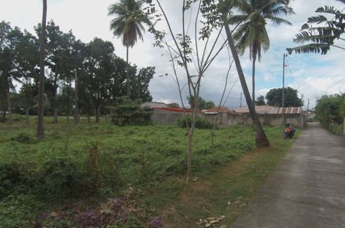Land for sale in Bagacay, Negros Oriental