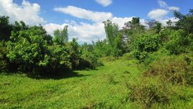 Land for sale in Santa Rosa, Negros Occidental