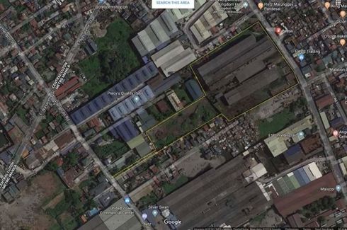 Commercial for sale in Isla, Metro Manila