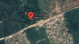 Land for sale in Kampung Chinta Manis, Pahang