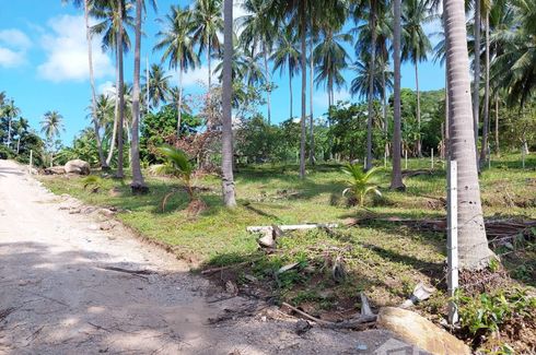 Land for sale in Khanom, Nakhon Si Thammarat