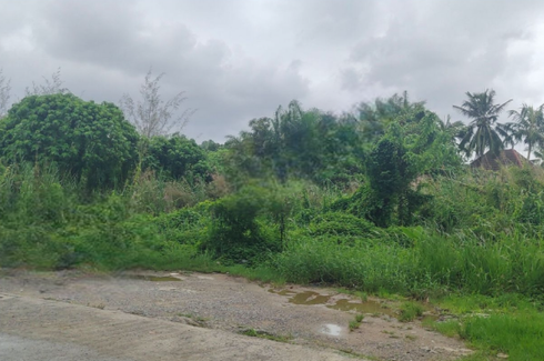 Land for sale in Choeng Thale, Phuket