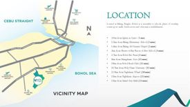 House for sale in Biking, Bohol