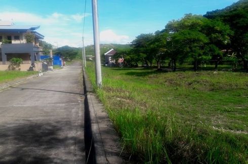 Land for sale in Danglag, Cebu