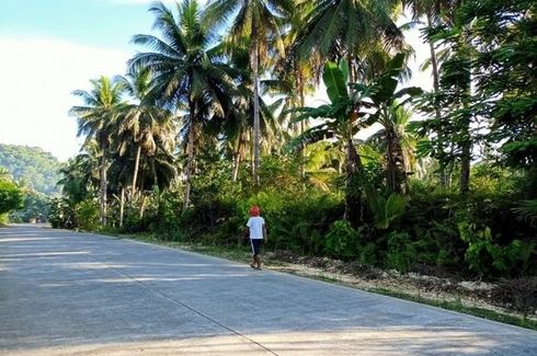 Land for sale in Consuelo, Surigao del Norte