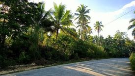 Land for sale in Consuelo, Surigao del Norte