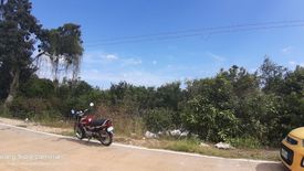 Land for sale in Danao, Bohol