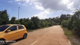 Land for sale in Danao, Bohol