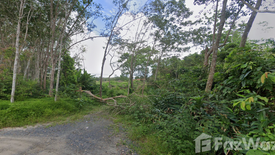 Land for sale in Pa Khlok, Phuket