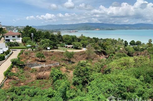ขายที่ดิน ใน บ่อผุด, เกาะสมุย