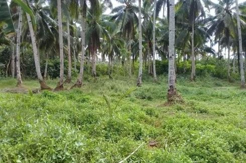 Land for sale in Malinao, Surigao del Norte