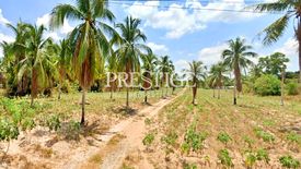 Land for sale in Pong, Chonburi