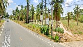 Land for sale in Pong, Chonburi