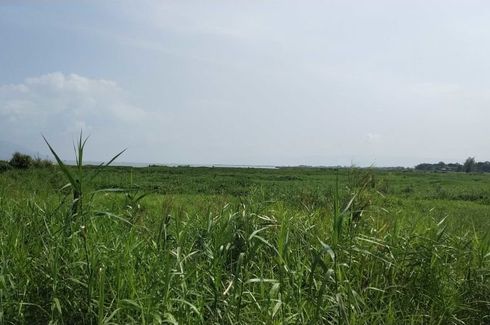 Land for sale in Calios, Laguna