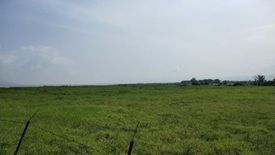 Land for sale in Calios, Laguna