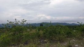 Land for sale in San Roque, Cebu