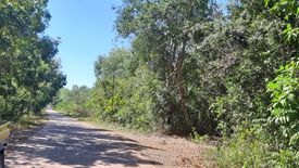 Land for sale in San Isidro, Bohol