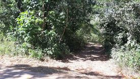 Land for sale in San Isidro, Bohol