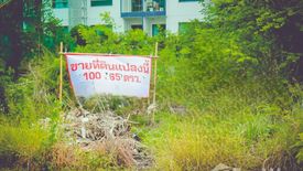 Land for sale in Nong Prue, Chonburi