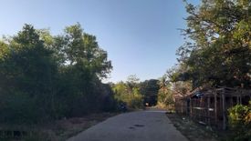 Land for sale in San Isidro, Bohol