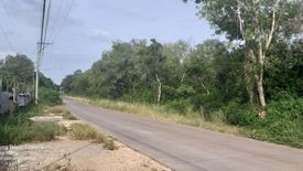 Land for sale in Danao, Bohol