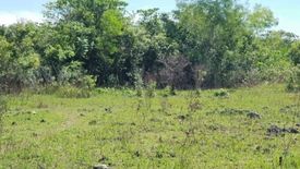 Land for sale in Bil-Isan, Bohol