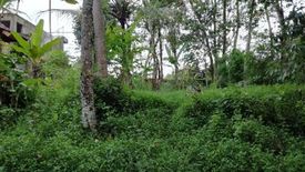 Tanah dijual dengan  di Batubulan, Bali