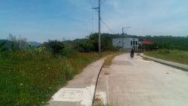 Land for sale in Dumlog, Cebu