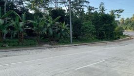 Land for sale in Langub, Davao del Sur