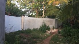 Land for Sale or Rent in Danao, Bohol