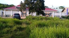 Land for Sale or Rent in Danao, Bohol