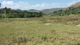 ขายที่ดิน ใน บ้านหลวง, จอมทอง