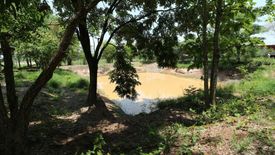 ขายที่ดิน ใน ผักตบ, หนองหาน