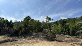 Land for sale in Thep Krasatti, Phuket