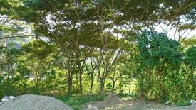 Land for sale in Pulangbato, Cebu