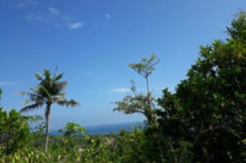 Land for sale in Poblacion, Siquijor