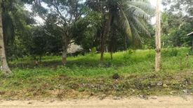 Land for sale in Anonang, Davao del Norte