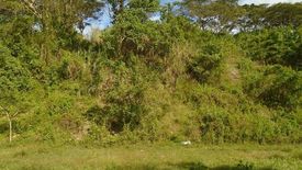 Land for sale in Pulangbato, Cebu