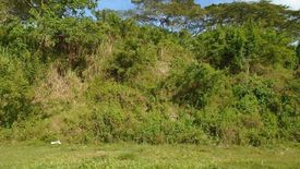 Land for sale in Pulangbato, Cebu