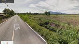 Land for sale in San Phak Wan, Chiang Mai