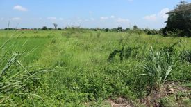 Land for sale in San Phak Wan, Chiang Mai