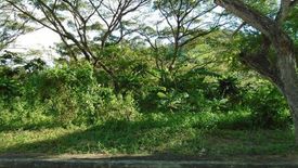 Land for sale in Pulangbato, Cebu