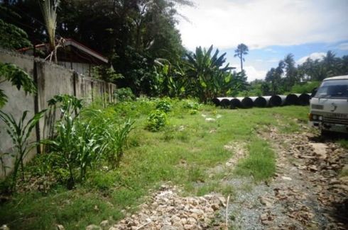Land for sale in Linao, Cebu