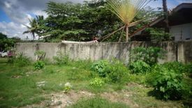 Land for sale in Linao, Cebu