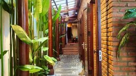 Cần bán villa 3 phòng ngủ tại Cẩm An, Hội An, Quảng Nam