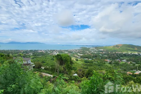 Land for sale in Bo Phut, Surat Thani