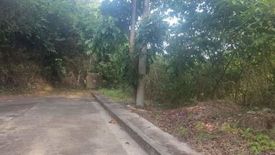 Land for sale in San Roque, Cebu