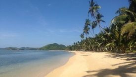 Land for sale in New Busuanga, Palawan