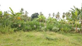Land for sale in Isugan, Negros Oriental
